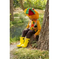 Костюм гриб Боровик для хлопчика